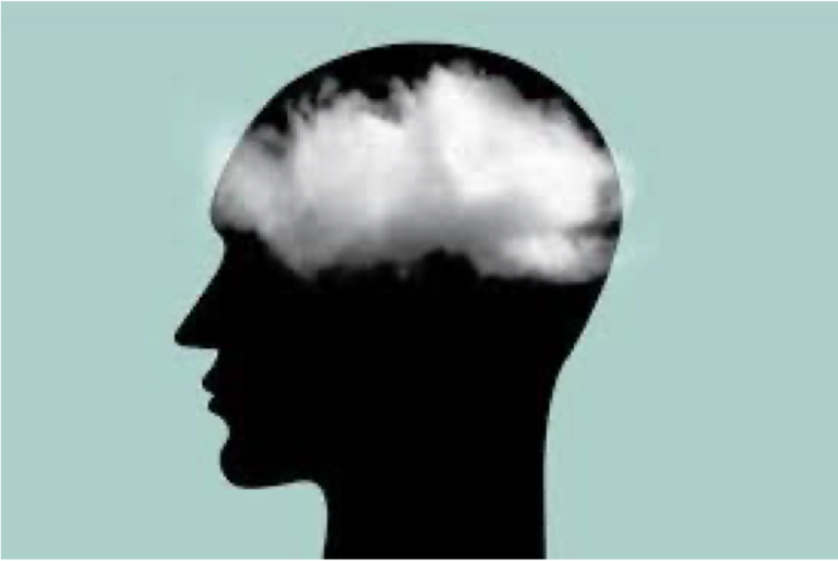 Brain Fog In Hypothyroidism Understanding The Patient s Perspective 